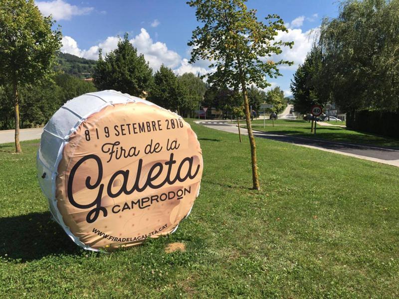 Llanars, En Vall De Camprodon Vistas Montana De Frente, Ascensor, Orientacion Sur, Chimenea, Wifi, Mollo Park, Vallter, Hipica, Golf Exterior photo